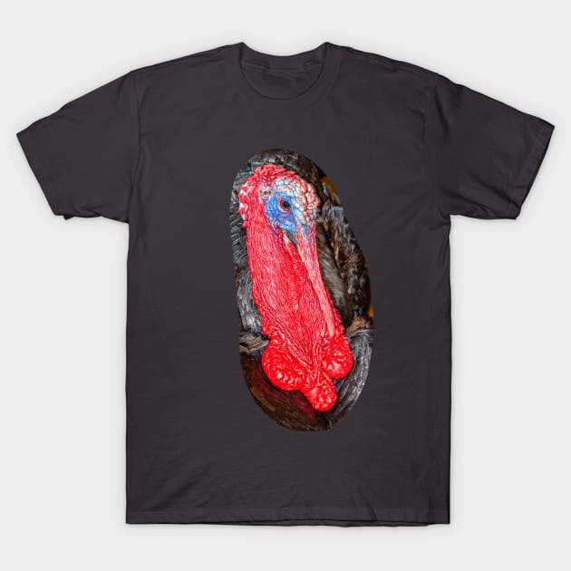 Tom Turkey T-Shirt by dalyndigaital2@gmail.com